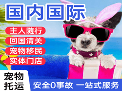 成都航空快递国际宠物托运 【国